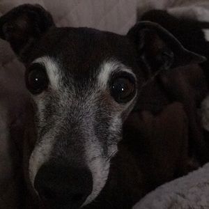 Meet your Posher, Tamara